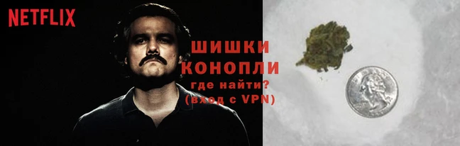 амф Зеленокумск