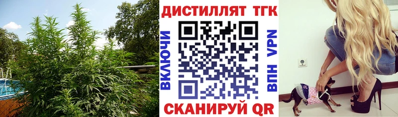 Купить  Мичуринск  Дистиллят ТГК Wax 